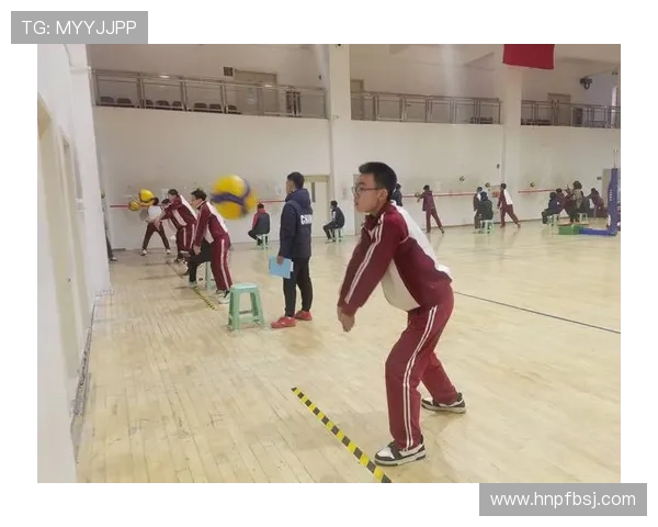 西安排球队的战术布局与比赛意识深度解析