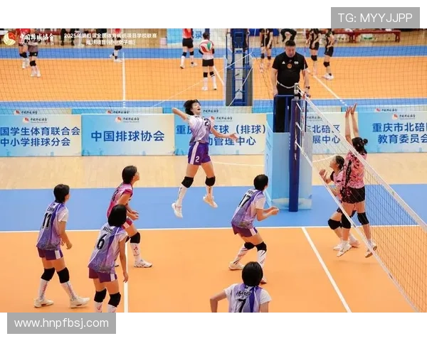 广州排球队默契配合探讨与战术分析全方位解读排球竞技魅力